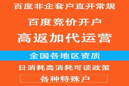 百度SEM推广策略：成功案例解析